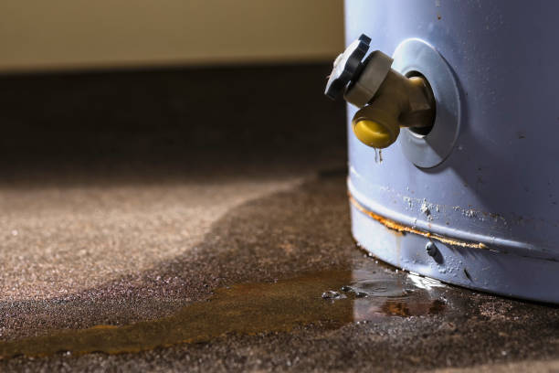 Water damage restoration mold remediation in Rowland Heights, CA