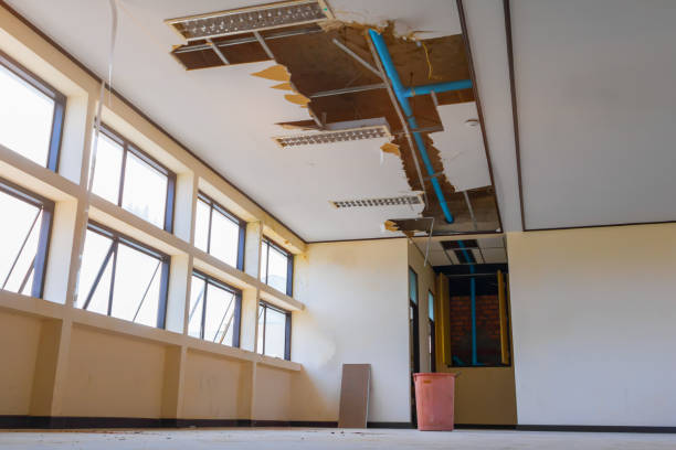 Best Carpet water damage restoration  in Rowland Heights, CA