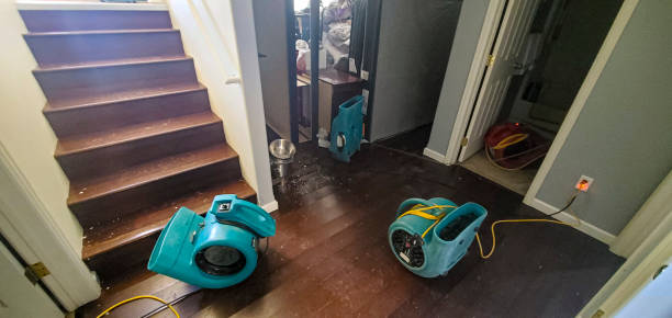 Best Basement water damage restoration  in Rowland Heights, CA
