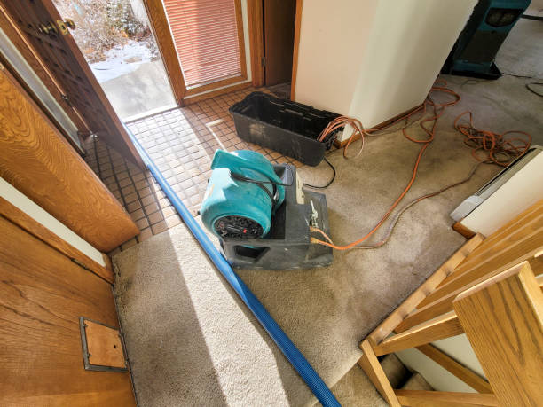 Best Water damage cleanup near me  in Rowland Heights, CA