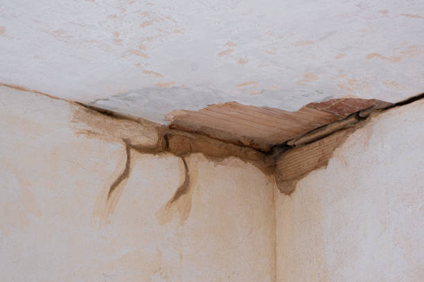 Best Water damage restoration mold remediation  in Rowland Heights, CA