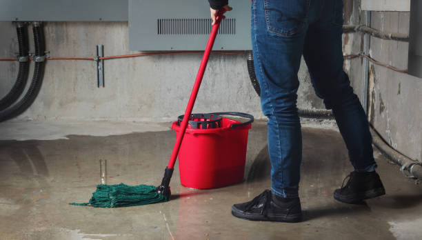 Best Water damage restoration near me  in Rowland Heights, CA