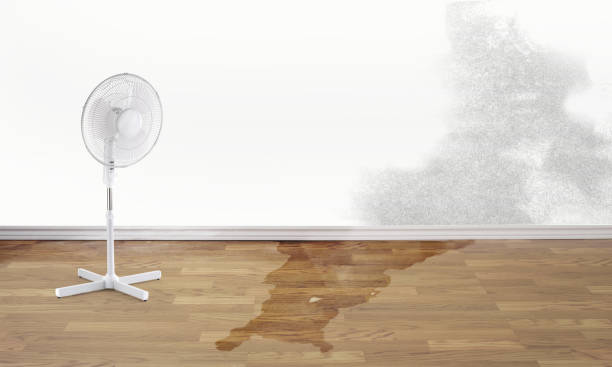 Best 24/7 water damage repair  in Rowland Heights, CA