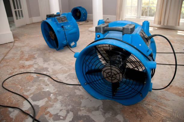 Best Mold removal after water damage  in Rowland Heights, CA