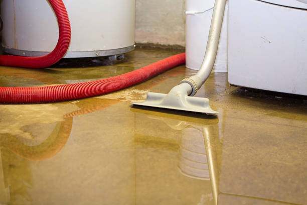 Best Local water damage restoration  in Rowland Heights, CA
