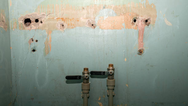 Best Water damage mitigation services  in Rowland Heights, CA