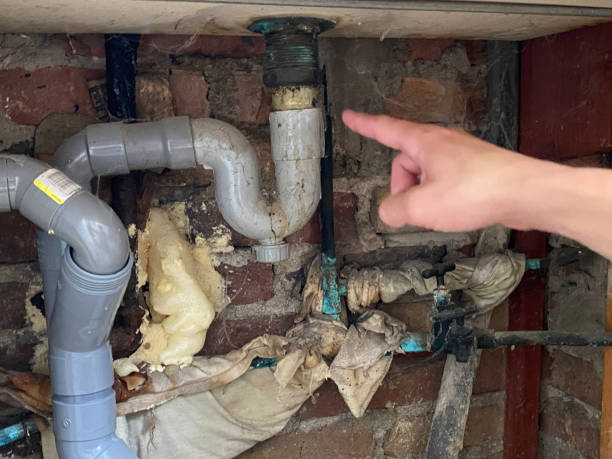 Best Professional water damage repair  in Rowland Heights, CA