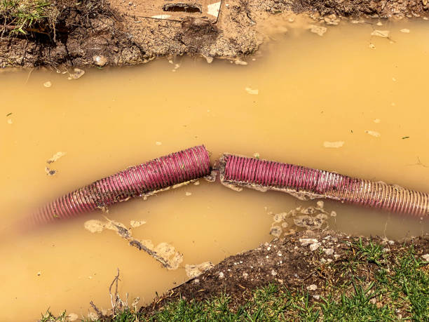 Best 24-hour water damage restoration  in Rowland Heights, CA