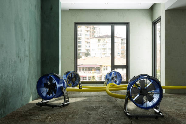 Best Water damage restoration near me  in Rowland Heights, CA