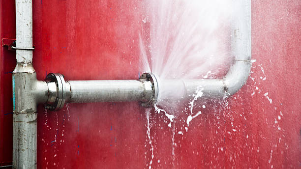 Best Flood damage cleanup  in Rowland Heights, CA